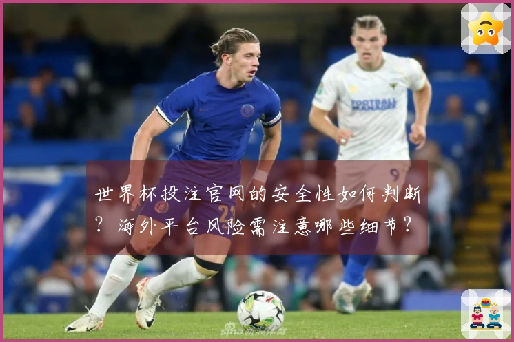 世界杯投注官网的安全性如何判断？海外平台风险需注意哪些细节？