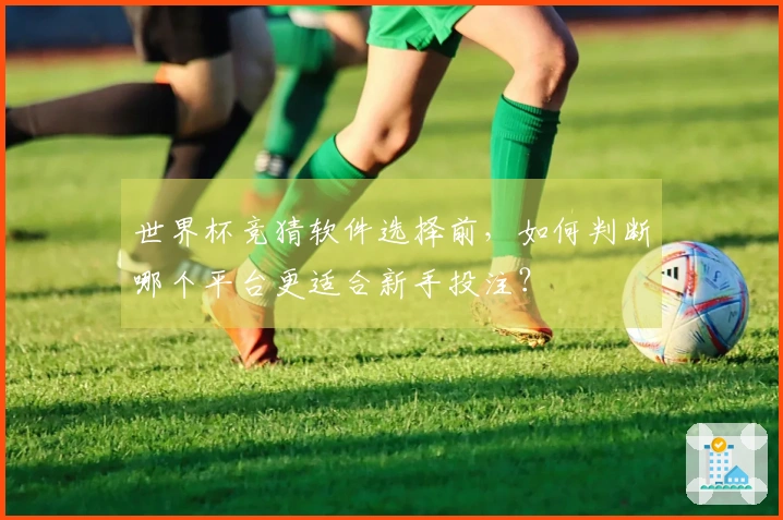 世界杯竞猜软件选择前，如何判断哪个平台更适合新手投注？