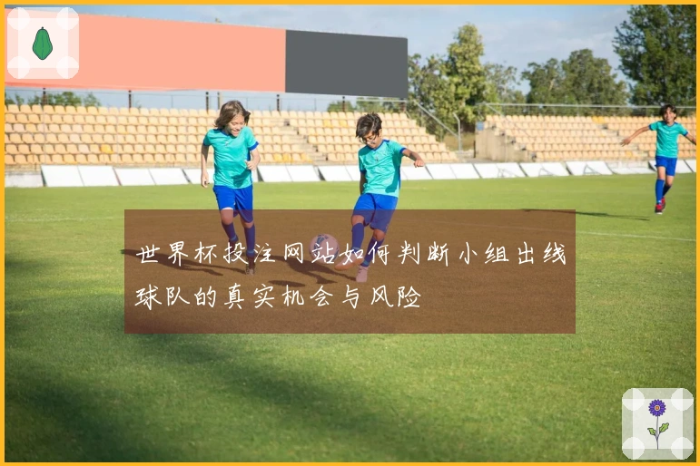 世界杯投注网站如何判断小组出线球队的真实机会与风险