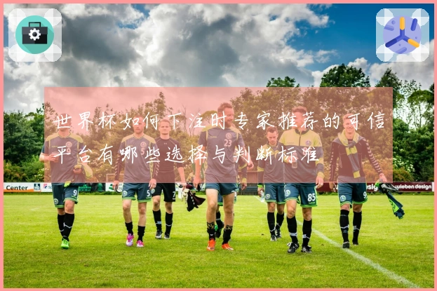 世界杯如何下注时专家推荐的可信平台有哪些选择与判断标准