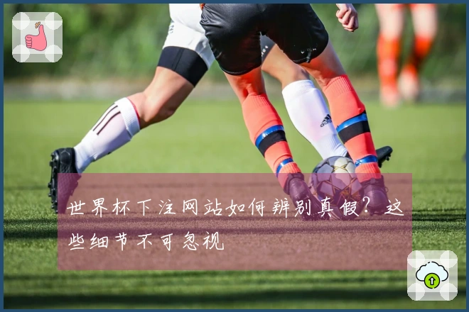 世界杯下注网站如何辨别真假？这些细节不可忽视