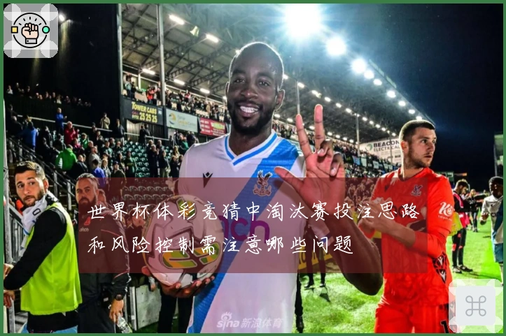 世界杯体彩竞猜中淘汰赛投注思路和风险控制需注意哪些问题
