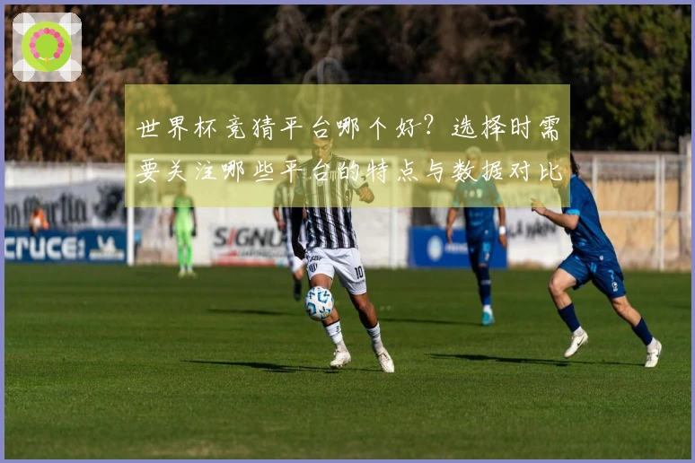 世界杯竞猜平台哪个好？选择时需要关注哪些平台的特点与数据对比
