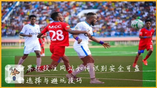 世界杯投注网站如何识别安全可靠的选择与避坑技巧