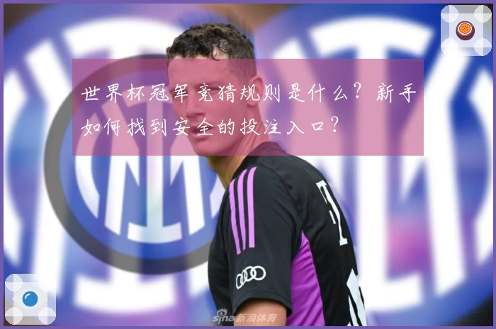 世界杯冠军竞猜规则是什么？新手如何找到安全的投注入口？