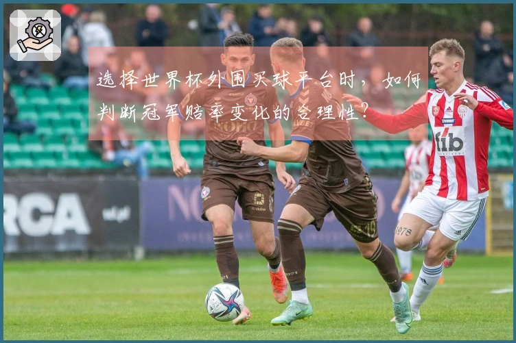 选择世界杯外围买球平台时，如何判断冠军赔率变化的合理性？